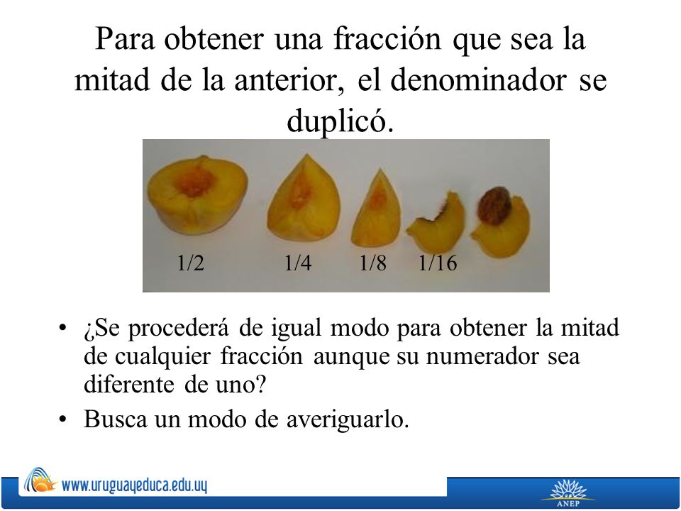 Para obtener una fracción que sea la mitad de la anterior, el denominador se duplicó.