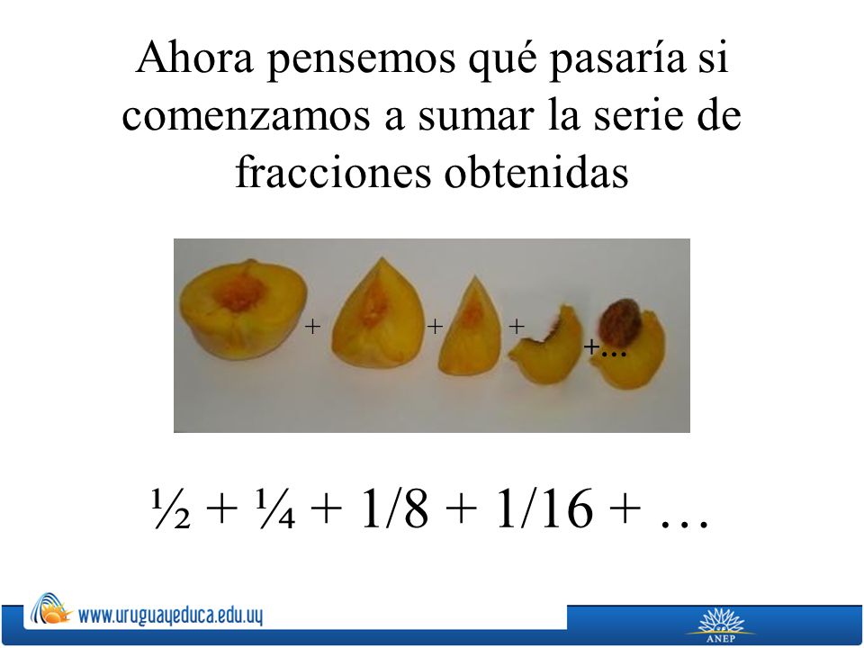 Ahora pensemos qué pasaría si comenzamos a sumar la serie de fracciones obtenidas