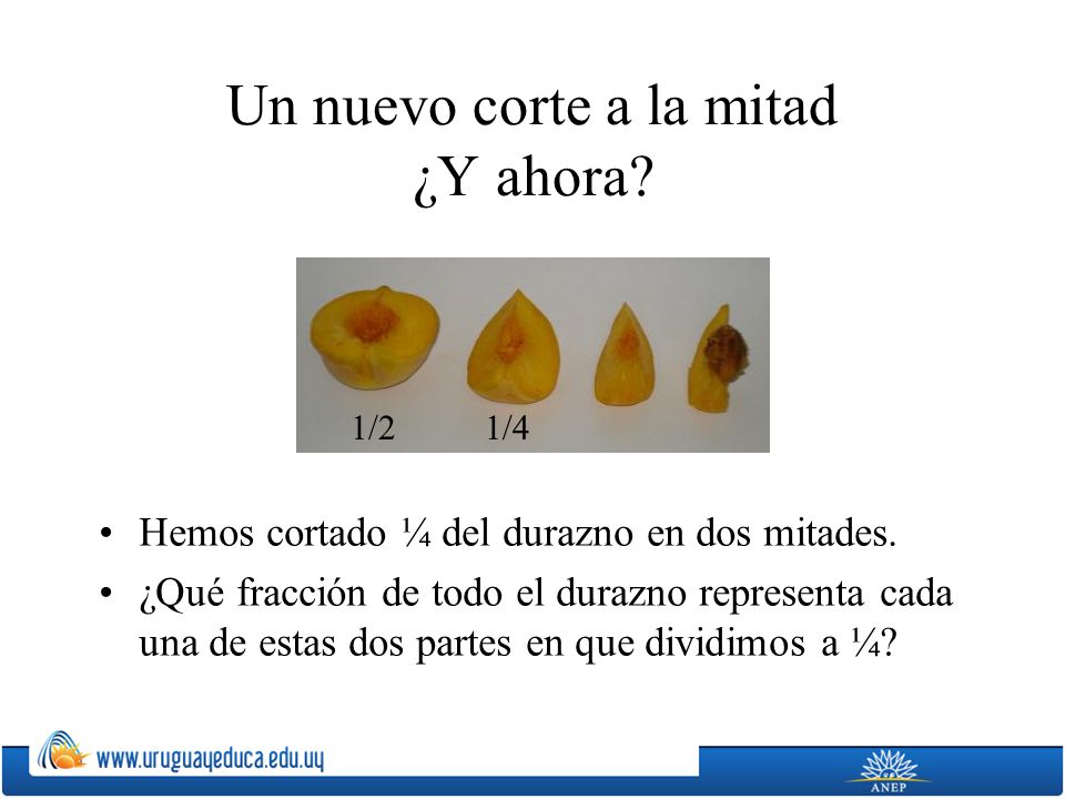Un nuevo corte a la mitad ¿Y ahora