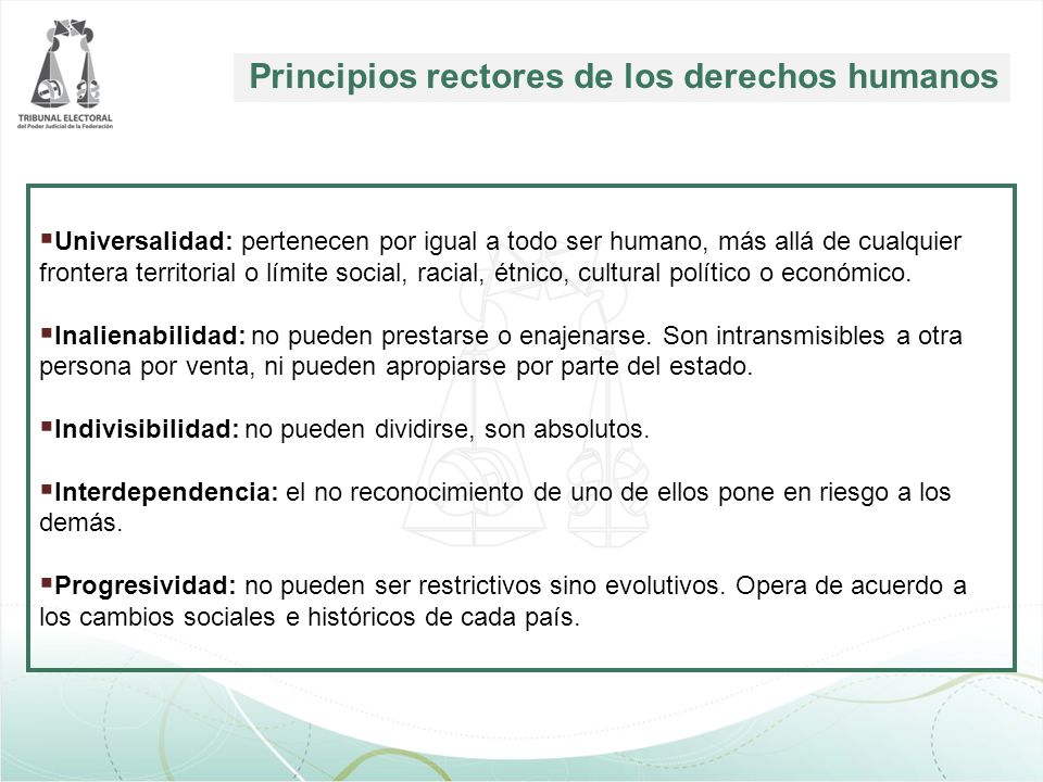 Principios rectores de los derechos humanos