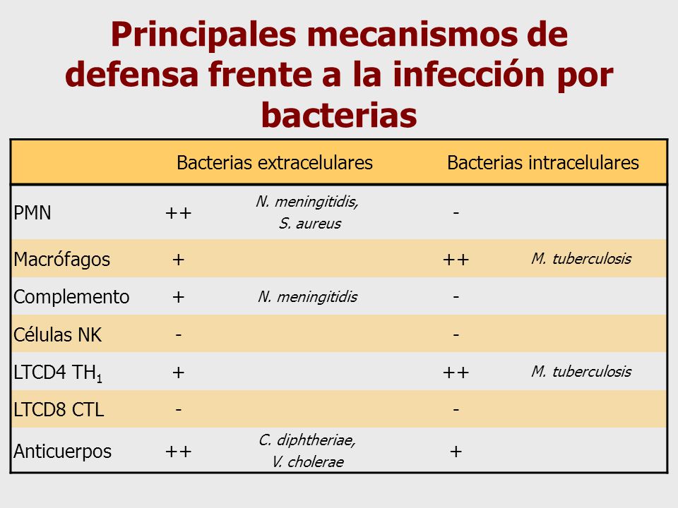 Principales mecanismos de defensa frente a la infección por bacterias