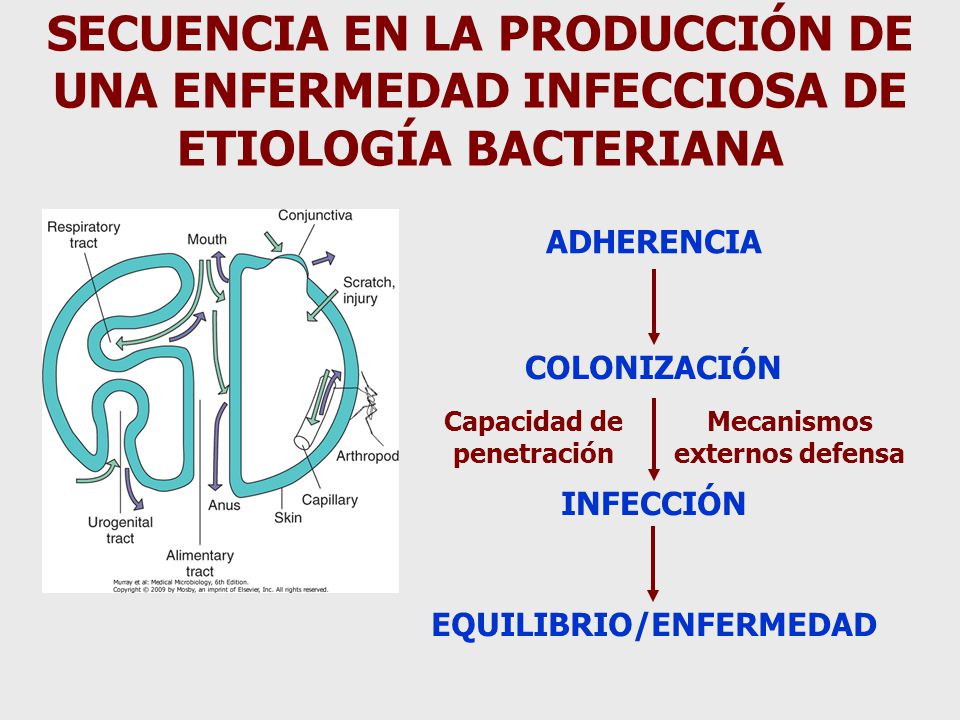 SECUENCIA EN LA PRODUCCIÓN DE UNA ENFERMEDAD INFECCIOSA DE ETIOLOGÍA BACTERIANA