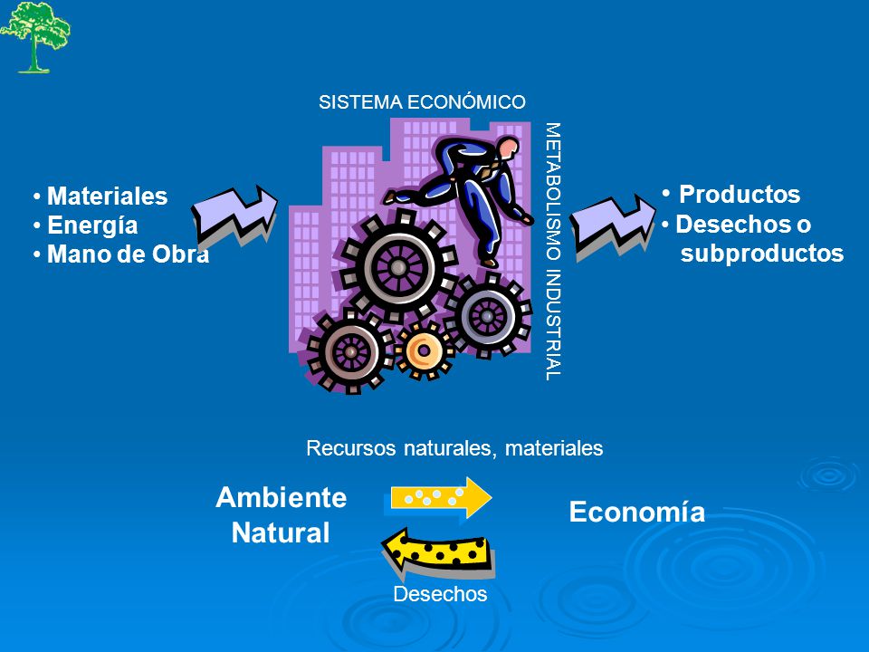 Productos Ambiente Economía Natural Materiales Desechos o Energía