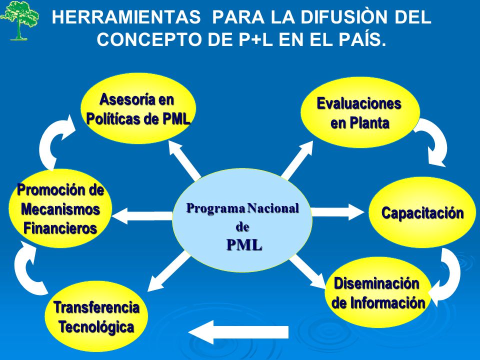 HERRAMIENTAS PARA LA DIFUSIÒN DEL CONCEPTO DE P+L EN EL PAÍS.