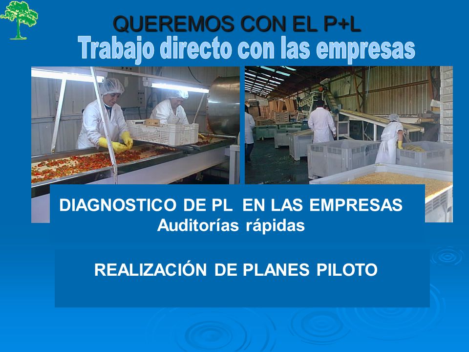 DIAGNOSTICO DE PL EN LAS EMPRESAS REALIZACIÓN DE PLANES PILOTO