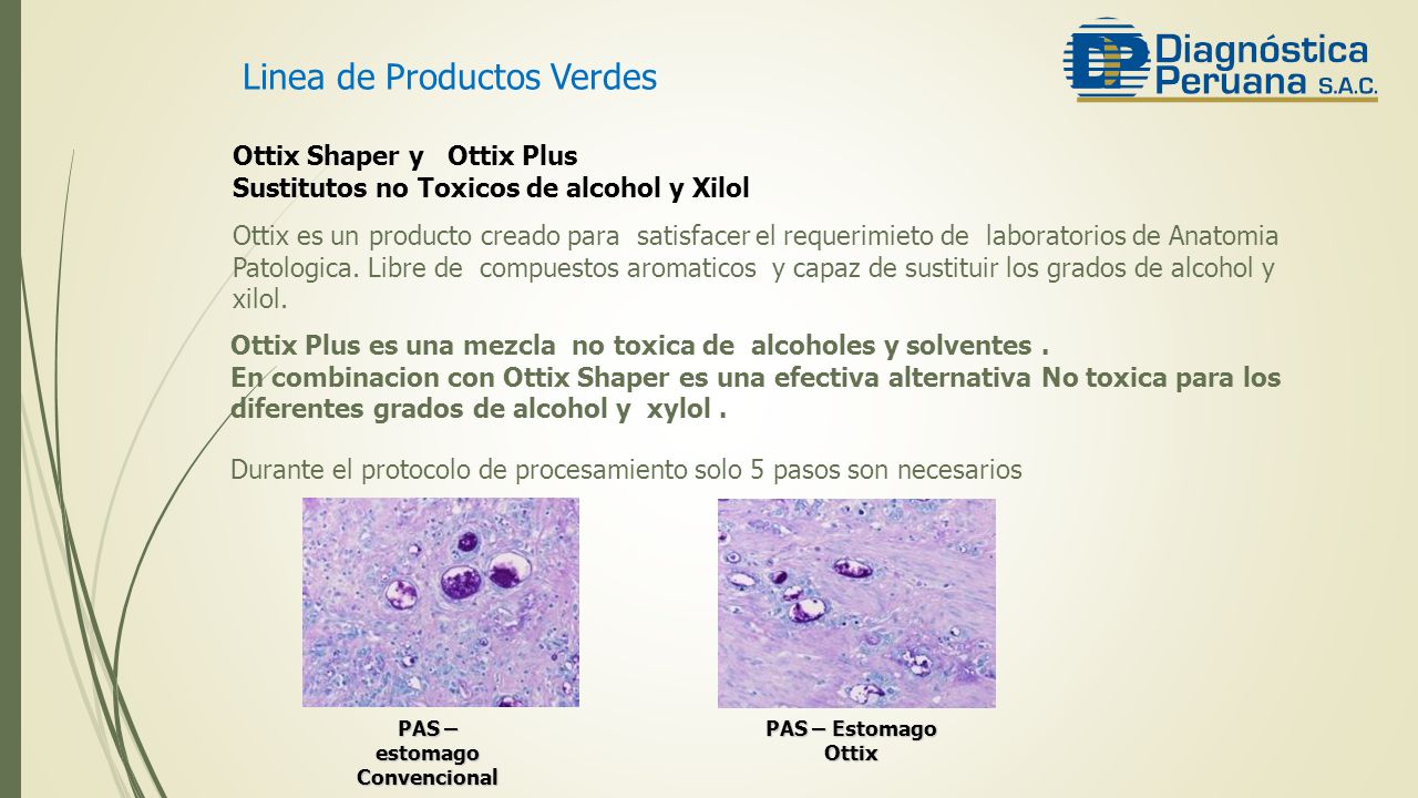 Linea de Productos Verdes