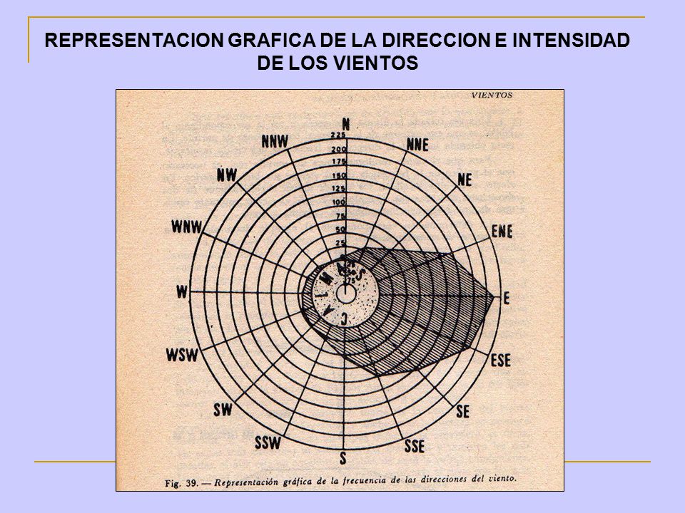 REPRESENTACION GRAFICA DE LA DIRECCION E INTENSIDAD DE LOS VIENTOS