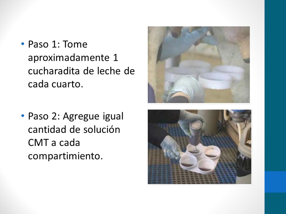Paso 1: Tome aproximadamente 1 cucharadita de leche de cada cuarto.