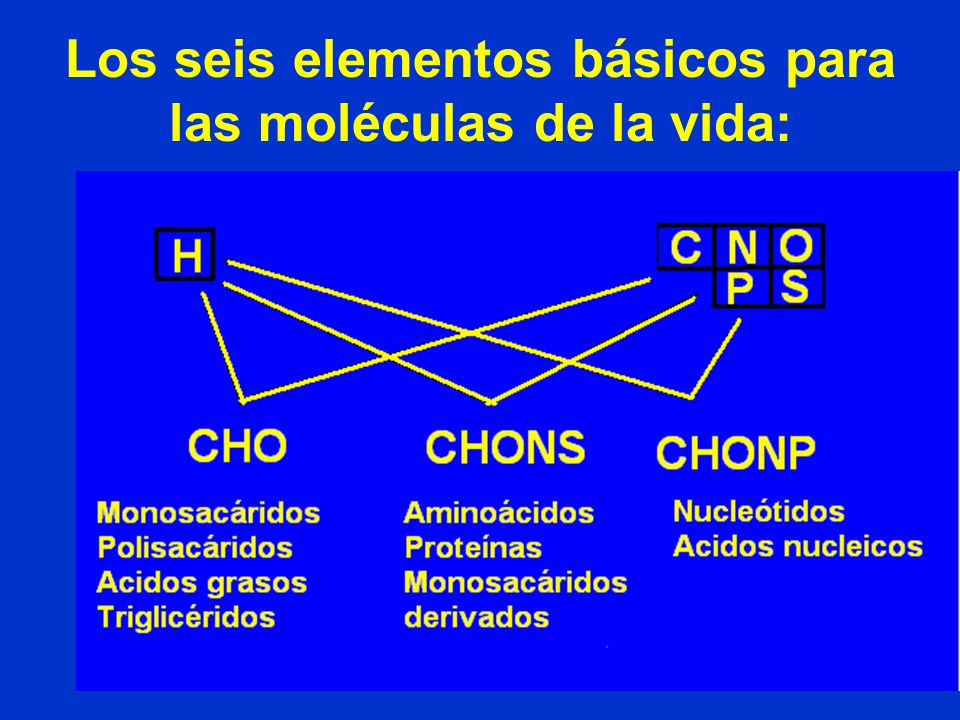 Los seis elementos básicos para las moléculas de la vida:
