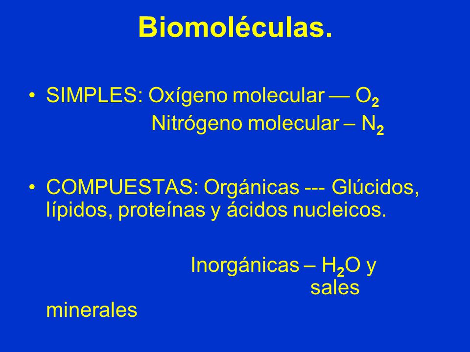 Biomoléculas. SIMPLES: Oxígeno molecular — O2 Nitrógeno molecular – N2