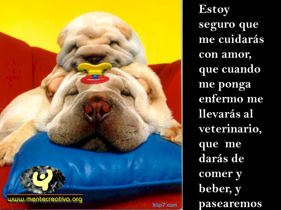 Estoy seguro que me cuidarás con amor, que cuando me ponga enfermo me llevarás al veterinario, que me darás de comer y beber, y pasearemos