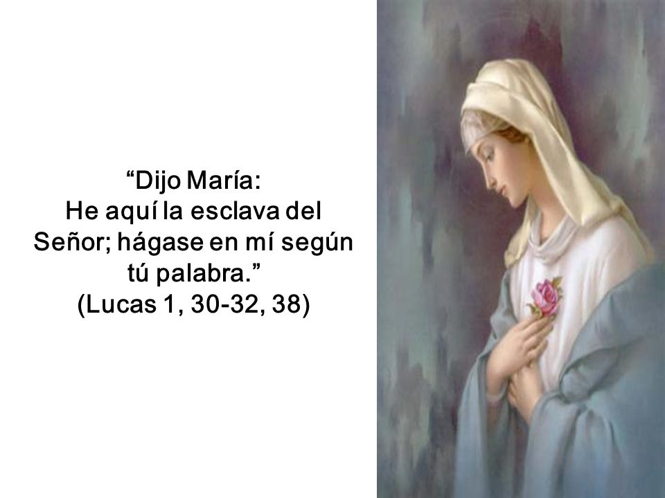 He aquí la esclava del Señor; hágase en mí según tú palabra.