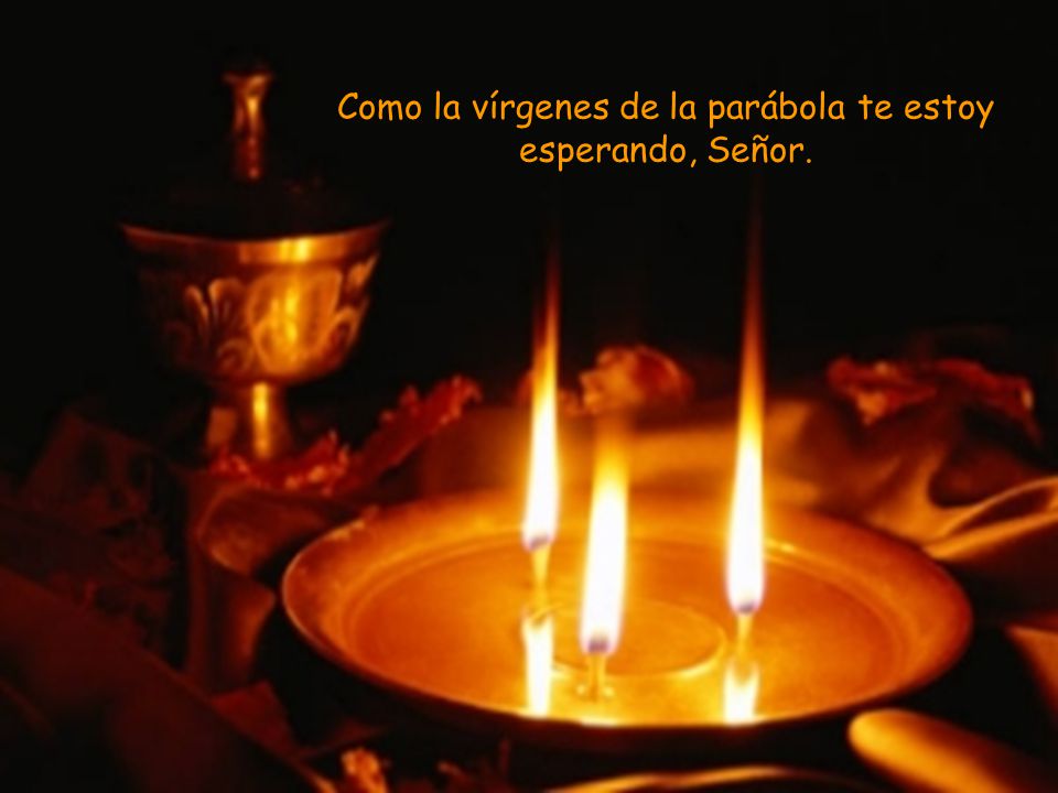 Como la vírgenes de la parábola te estoy esperando, Señor.