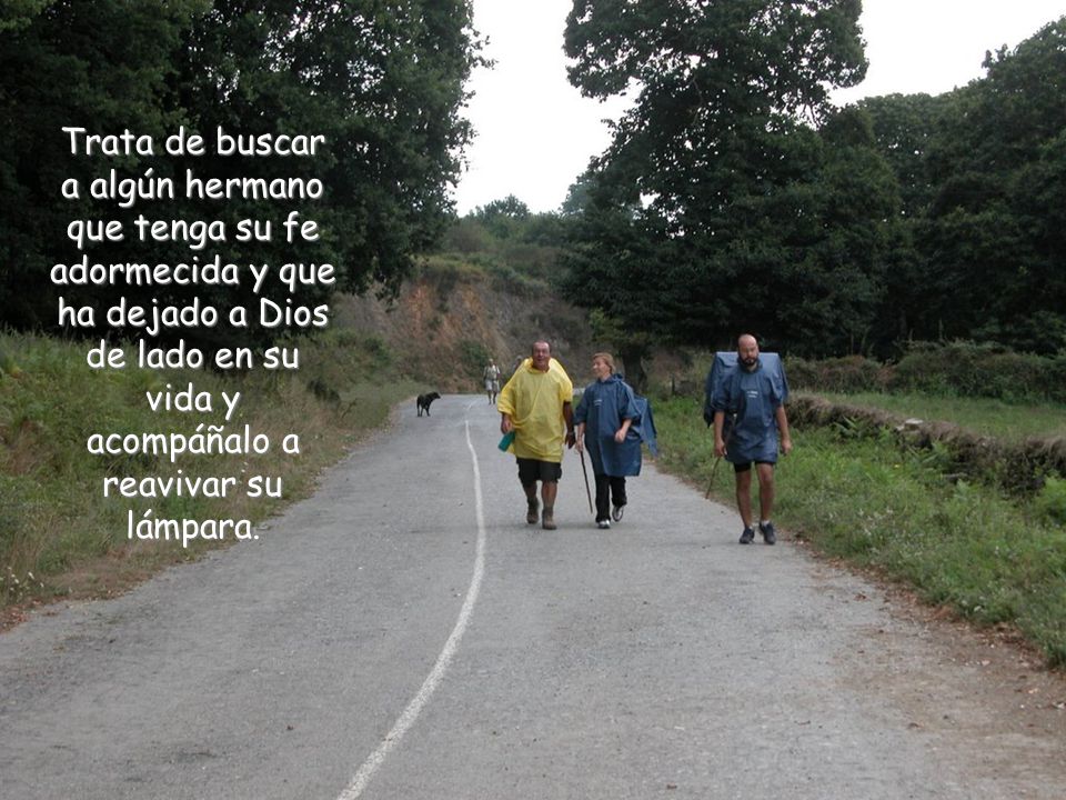 Trata de buscar a algún hermano que tenga su fe adormecida y que ha dejado a Dios de lado en su vida y acompáñalo a reavivar su lámpara.