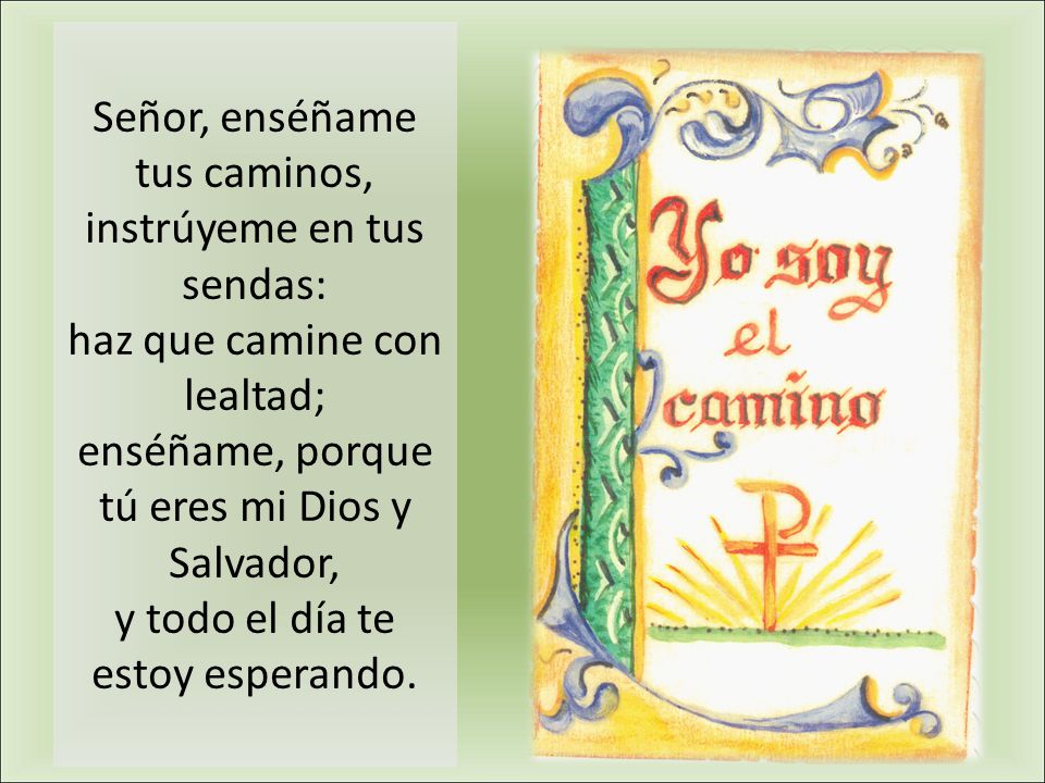 Señor, enséñame tus caminos, instrúyeme en tus sendas: haz que camine con lealtad; enséñame, porque tú eres mi Dios y Salvador, y todo el día te estoy esperando.