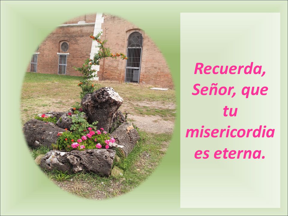 Recuerda, Señor, que tu misericordia es eterna.