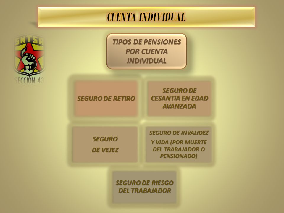 CUENTA INDIVIDUAL TIPOS DE PENSIONES POR CUENTA INDIVIDUAL