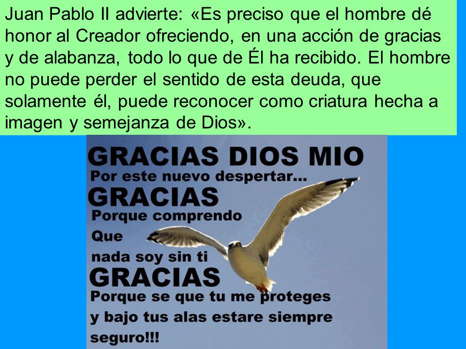 Juan Pablo II advierte: «Es preciso que el hombre dé honor al Creador ofreciendo, en una acción de gracias y de alabanza, todo lo que de Él ha recibido.