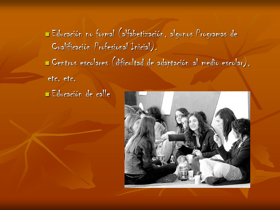 Educación no formal (alfabetización, algunos Programas de Cualificación Profesional Inicial).