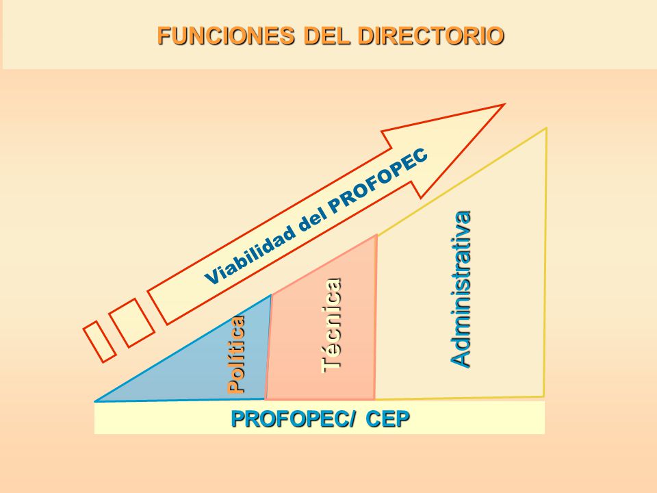 FUNCIONES DEL DIRECTORIO