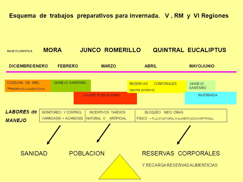 Esquema de trabajos preparativos para invernada. V , RM y VI Regiones