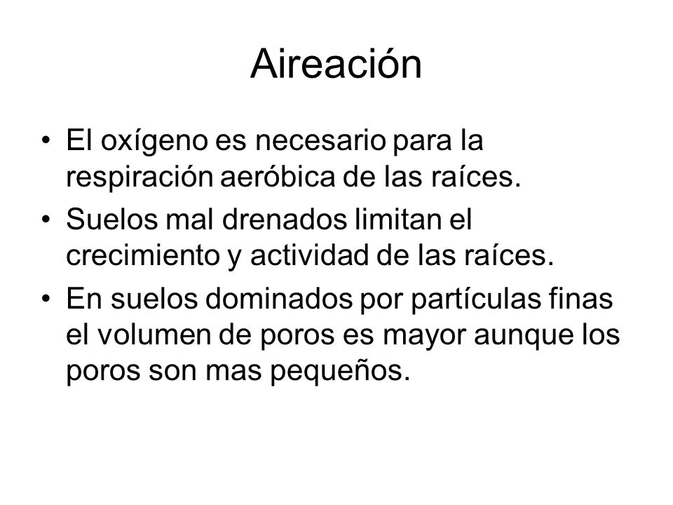 Aireación El oxígeno es necesario para la respiración aeróbica de las raíces. Suelos mal drenados limitan el crecimiento y actividad de las raíces.