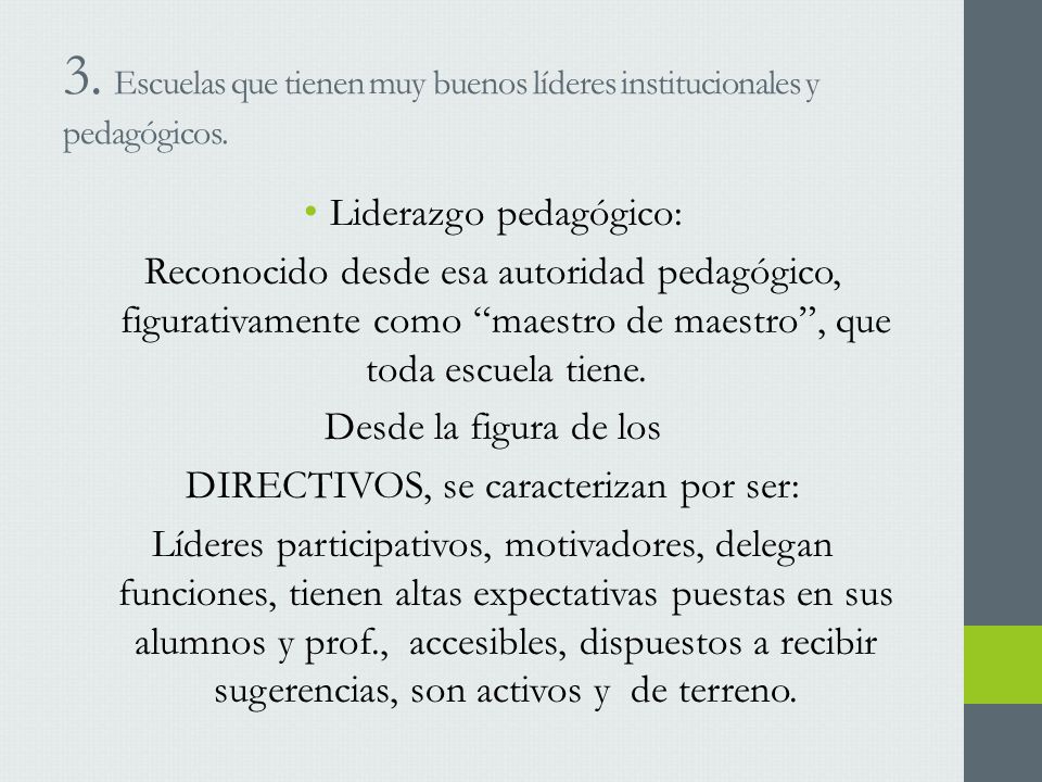 3. Escuelas que tienen muy buenos líderes institucionales y pedagógicos.