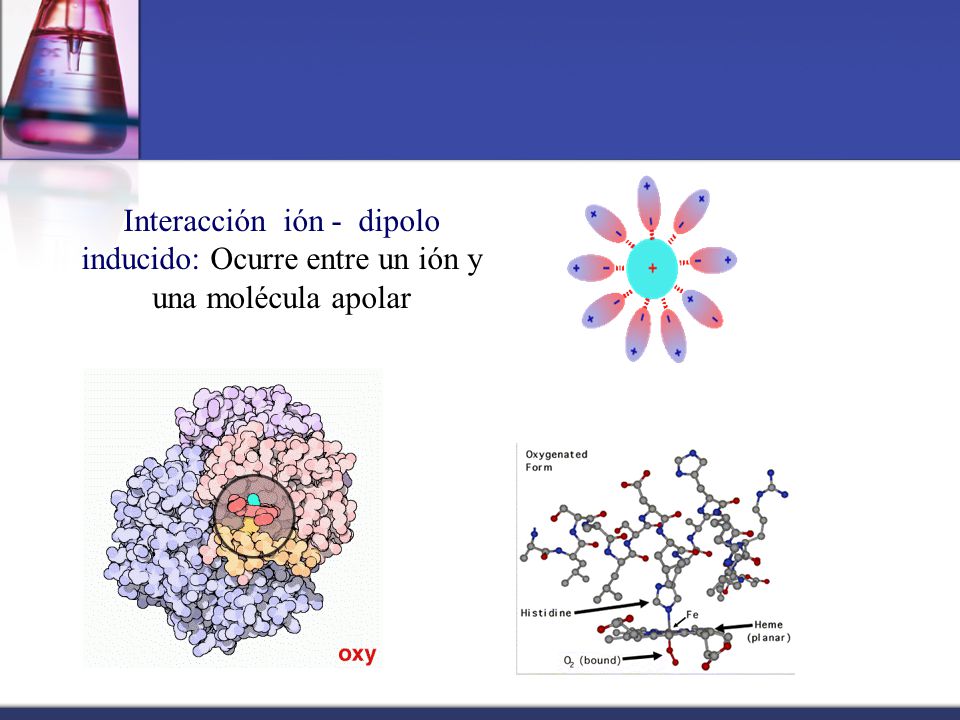 Interacción ión - dipolo inducido: Ocurre entre un ión y una molécula apolar