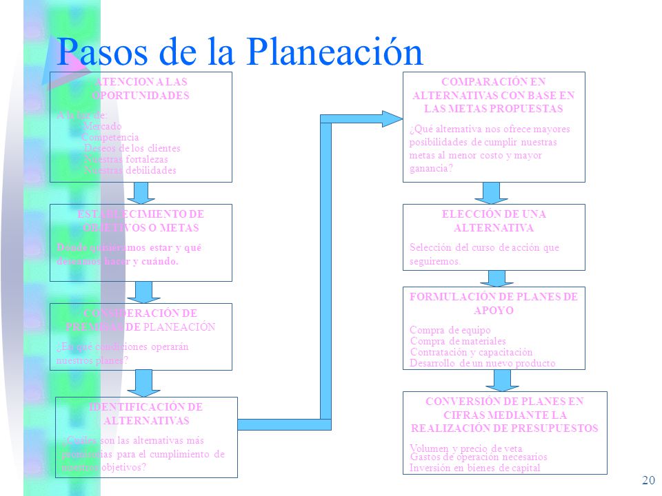 Pasos de la Planeación ATENCION A LAS OPORTUNIDADES A la luz de: