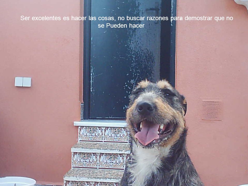 Ser excelentes es hacer las cosas, no buscar razones para demostrar que no