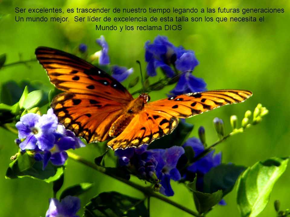 Ser excelentes, es trascender de nuestro tiempo legando a las futuras generaciones