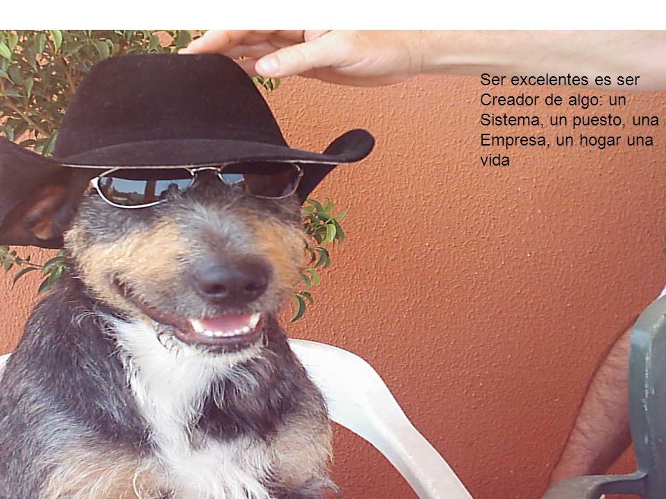 Ser excelentes es ser Creador de algo: un Sistema, un puesto, una Empresa, un hogar una vida