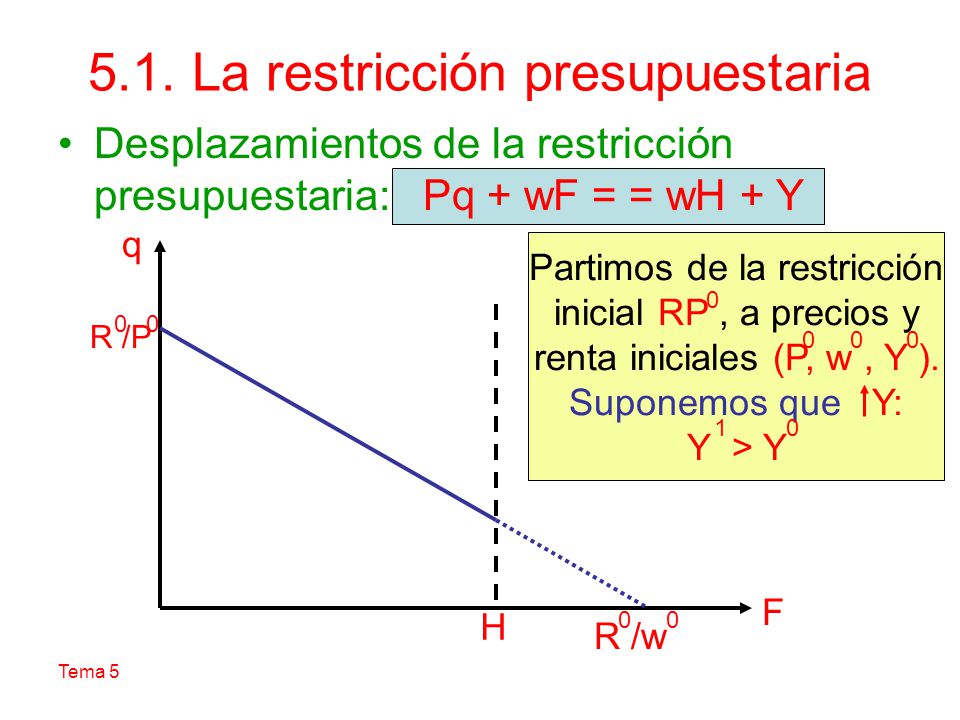 5.1. La restricción presupuestaria