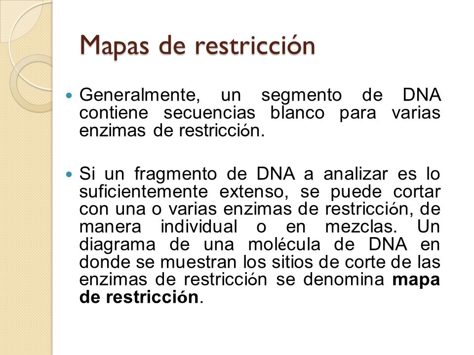 Mapas de restricción Generalmente, un segmento de DNA contiene secuencias blanco para varias enzimas de restricción.