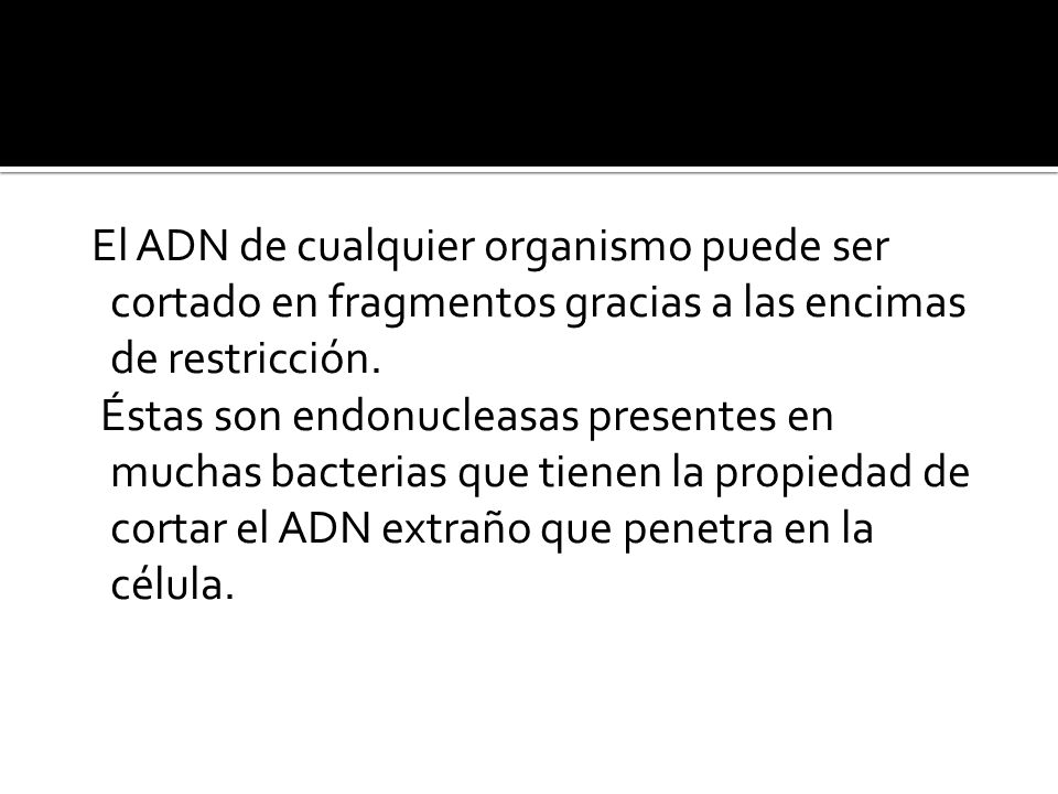 El ADN de cualquier organismo puede ser cortado en fragmentos gracias a las encimas de restricción.