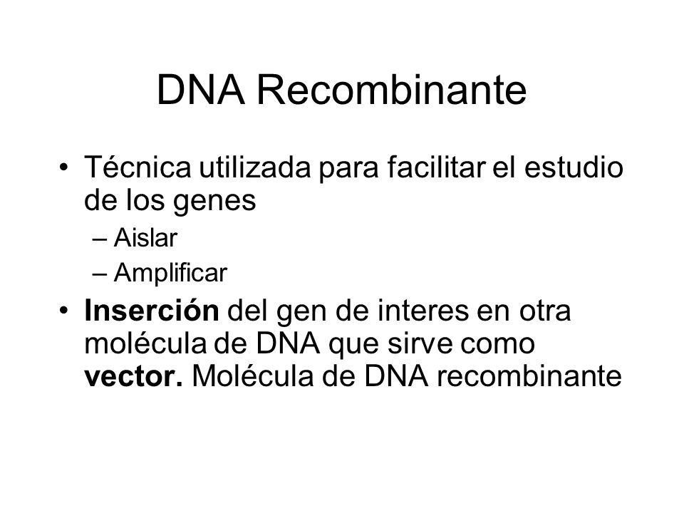 DNA Recombinante Técnica utilizada para facilitar el estudio de los genes. Aislar. Amplificar.