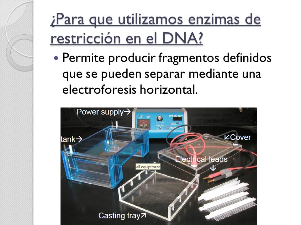 ¿Para que utilizamos enzimas de restricción en el DNA