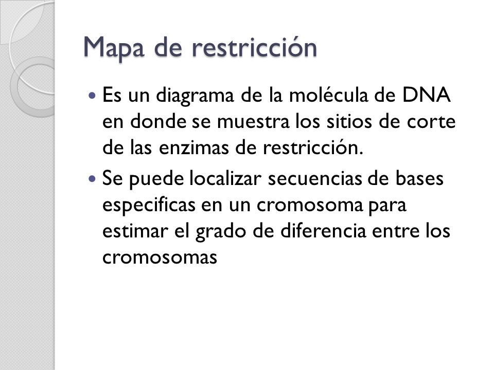 Mapa de restricción Es un diagrama de la molécula de DNA en donde se muestra los sitios de corte de las enzimas de restricción.
