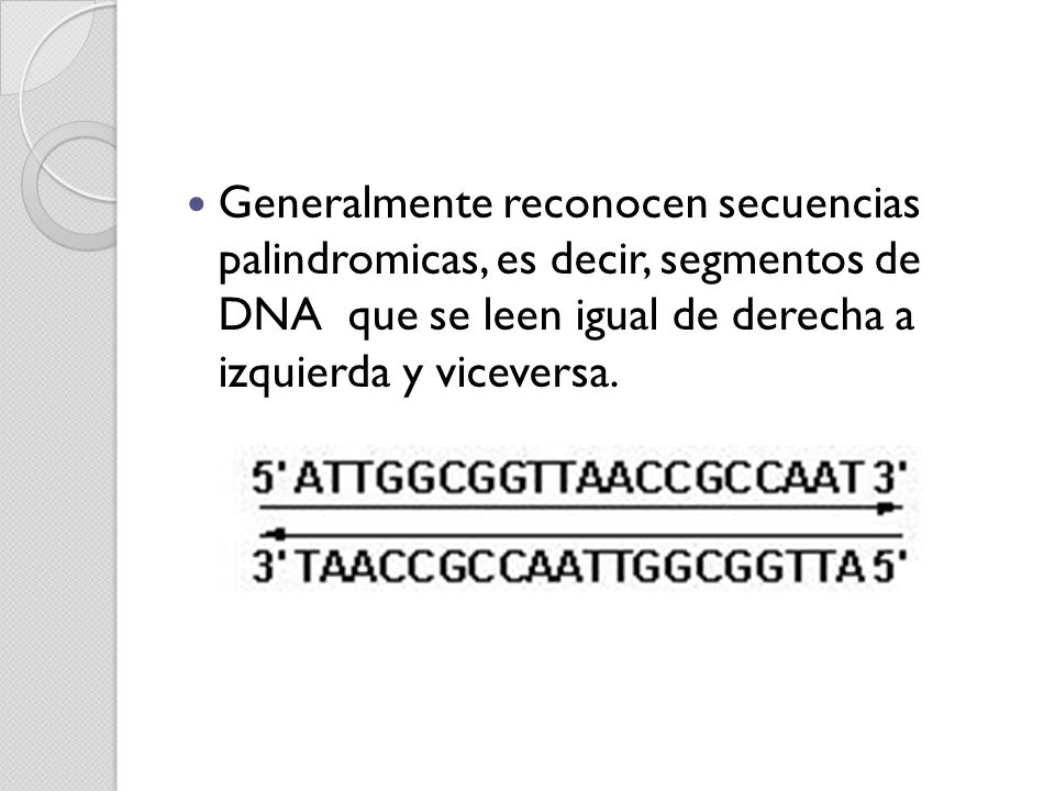 Generalmente reconocen secuencias palindromicas, es decir, segmentos de DNA que se leen igual de derecha a izquierda y viceversa.