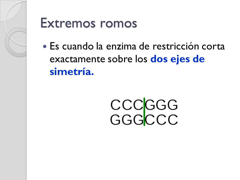 Extremos romos Es cuando la enzima de restricción corta exactamente sobre los dos ejes de simetría.