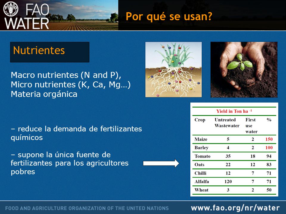 Por qué se usan Nutrientes Macro nutrientes (N and P),