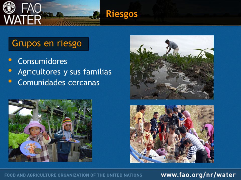 Riesgos Grupos en riesgo Consumidores Agricultores y sus familias