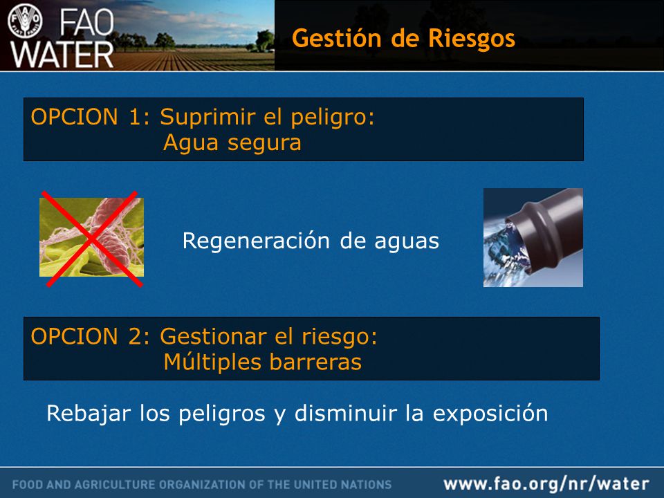 Gestión de Riesgos OPCION 1: Suprimir el peligro: Agua segura