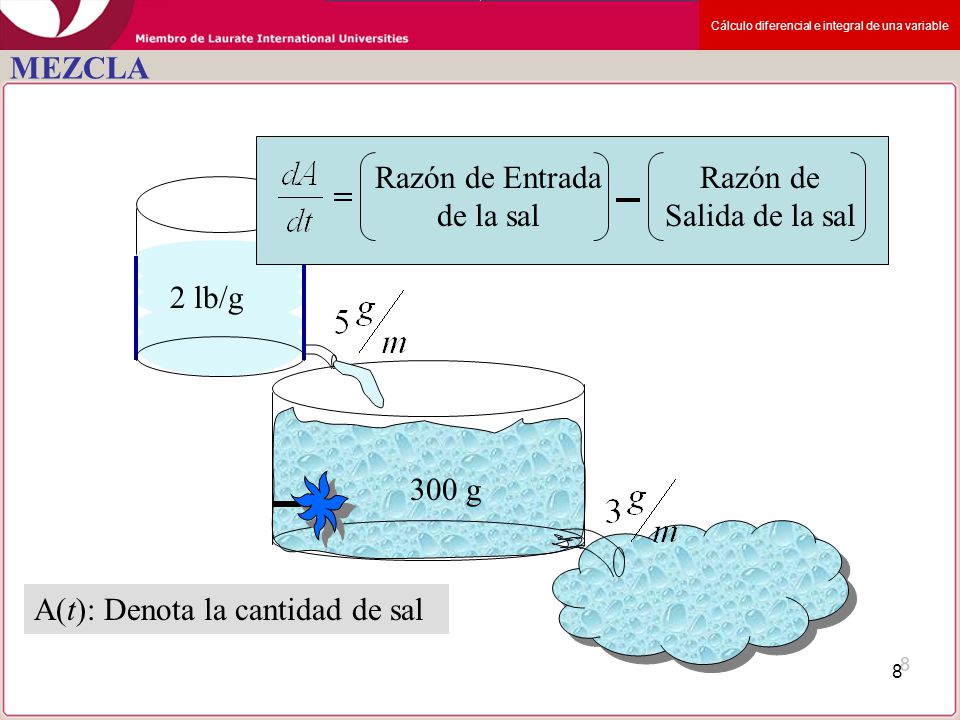 Razón de Entrada de la sal Razón de Salida de la sal