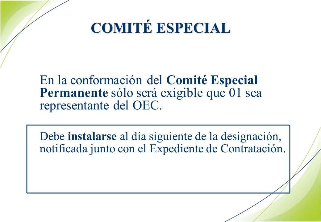 COMITÉ ESPECIAL En la conformación del Comité Especial Permanente sólo será exigible que 01 sea representante del OEC.
