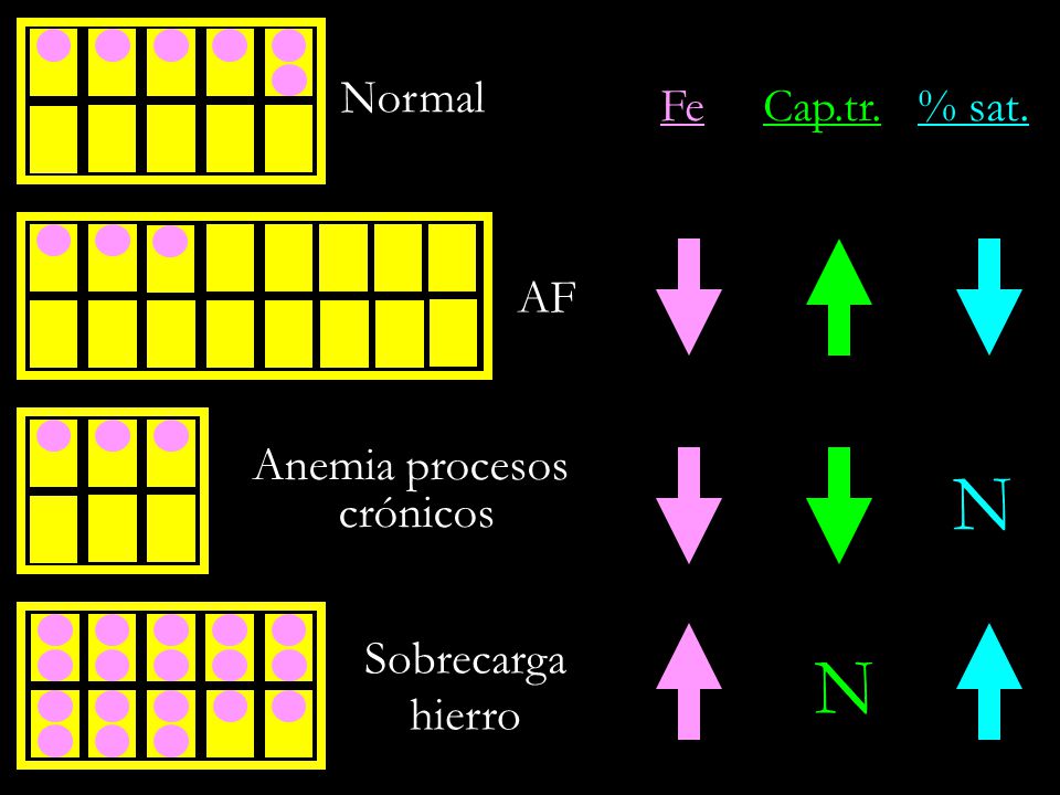 3) Una reticulocitosis puede presentarse en cualquiera de las siguientes situaciones excepto: