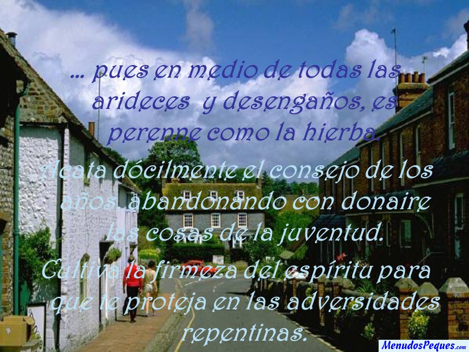 … pues en medio de todas las arideces y desengaños, es perenne como la hierba.