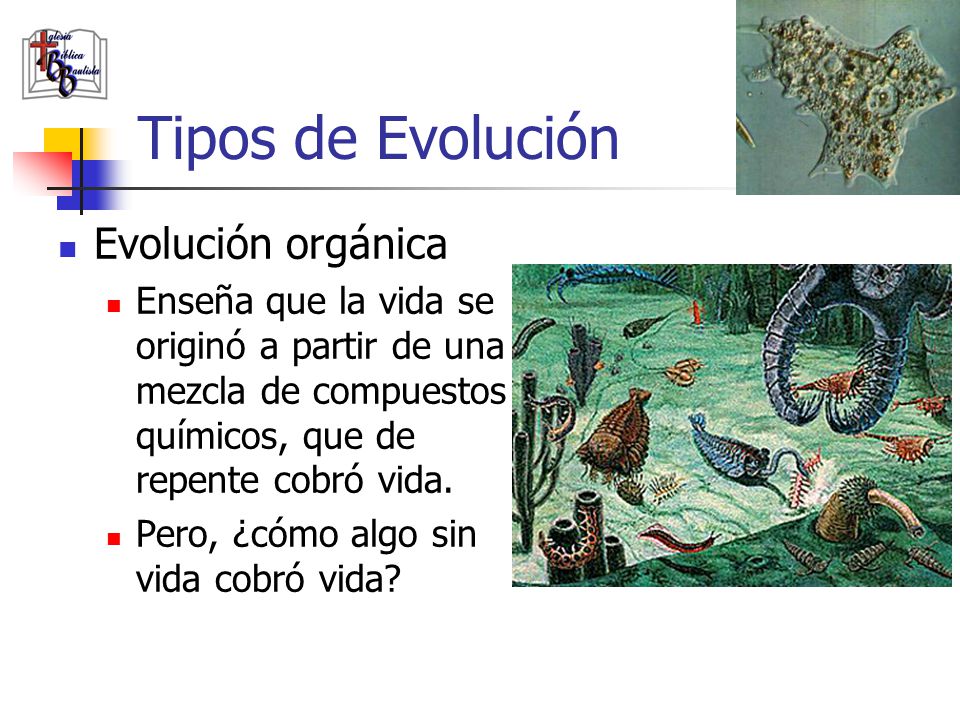Tipos de Evolución Evolución orgánica