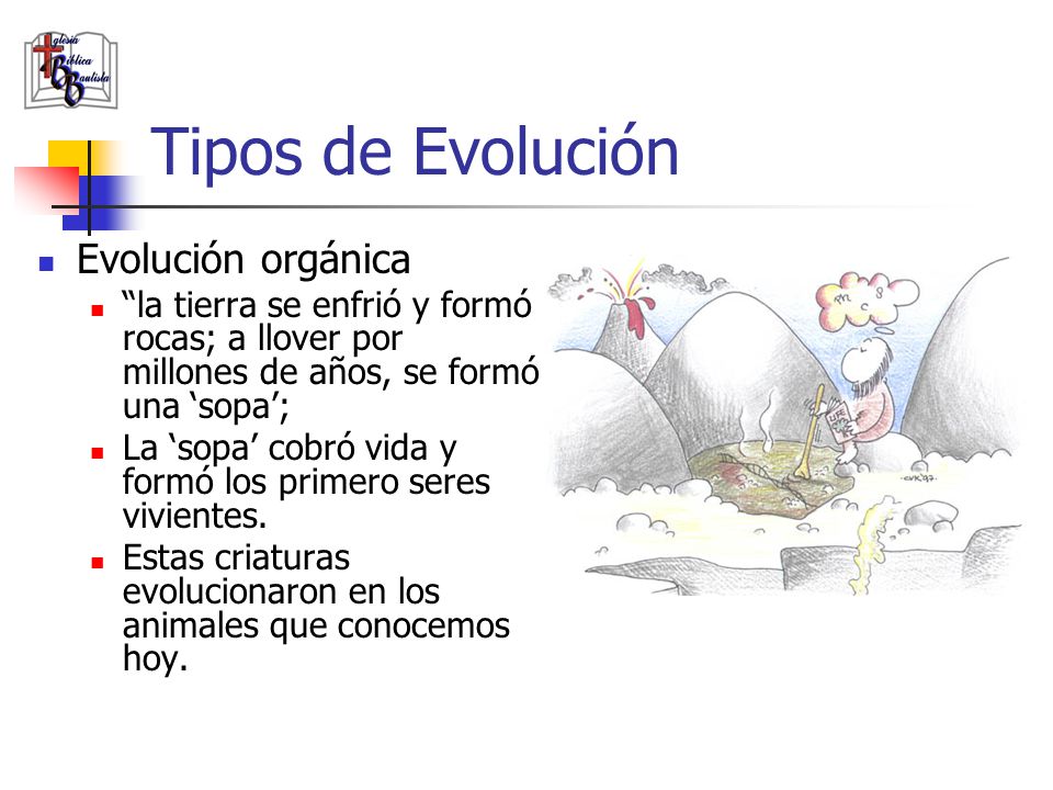 Tipos de Evolución Evolución orgánica