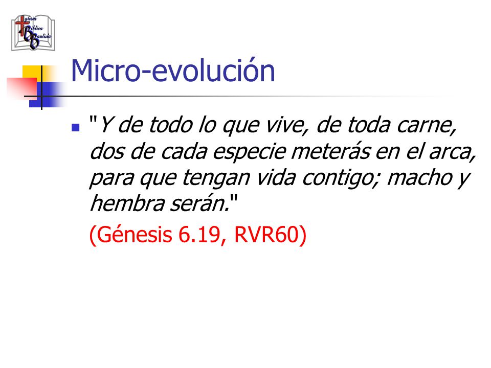 Micro-evolución Y de todo lo que vive, de toda carne, dos de cada especie meterás en el arca, para que tengan vida contigo; macho y hembra serán.